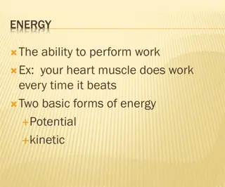 Energy: Forms, Organisms, and Cellular Respiration