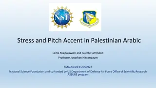 Stress and Pitch Accent in Palestinian Arabic Phonology