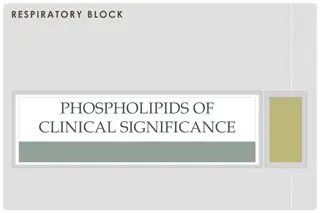 Clinical Significance of Respiratory Phospholipids