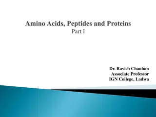 Acid-Base Behaviour of Amino Acids: Substituted Ammonium Ion and Iso-electric Point