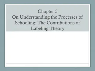 Contributions of Labeling Theory in Schooling Process