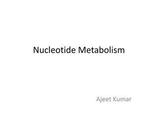 Purine Nucleotide Metabolism and Synthesis