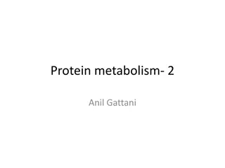Protein Metabolism: Oxidative and Non-Oxidative Deamination Process