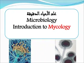Introduction to Mycology: Understanding Fungi in Microbiology