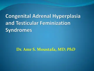 Adrenal Steroidogenesis and Congenital Adrenal Hyperplasia Syndromes