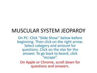 Muscular System Jeopardy - Exercises, Muscle Facts & Functions