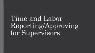 Supervisors' Time and Labor Management Dashboard Overview