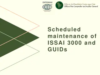 Key Insights on ISSAI Guidelines and Performance Audit Standards
