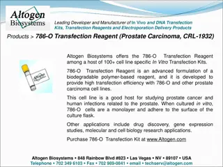 Advanced 786-O Transfection Reagent for Prostate Carcinoma Research