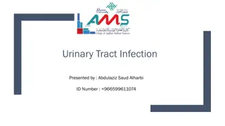 Urinary Tract Infections and Their Classification