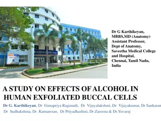 Study on Effects of Alcohol in Human Exfoliated Buccal Cells