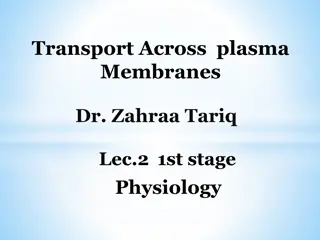 Cellular Transport Mechanisms