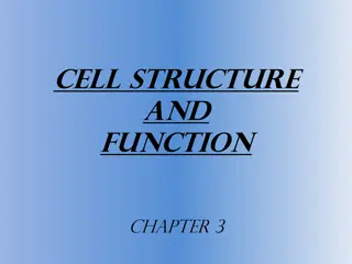 Cell Structure and Function: Prokaryotes vs. Eukaryotes