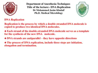 DNA Replication Process in Anesthesia Techniques