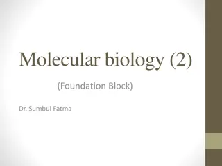 Eukaryotic DNA Replication: Key Concepts and Proteins