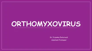 Orthomyxovirus: Structure and Function
