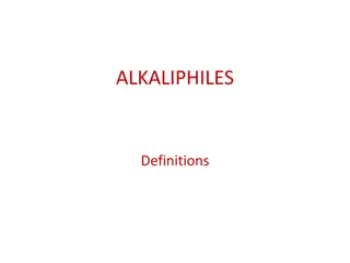 Exploring Alkaliphiles: Microbes Thriving in Extreme Environments