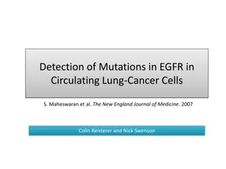 EGFR Mutations in NSCLC Circulating Cells: Detection & Treatment Insights