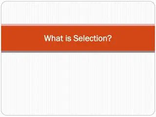 The Selection Process in Recruitment