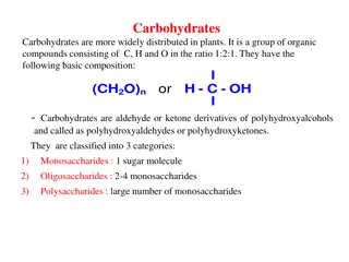 Carbohydrates in Plants