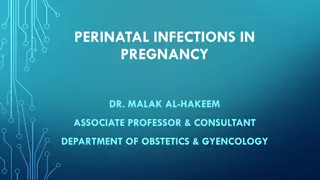 Perinatal Infections in Pregnancy by Dr. Malak Al-Hakeem