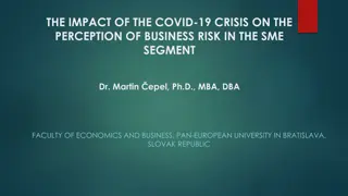 Impact of COVID-19 Crisis on Business Risk Perception in SMEs