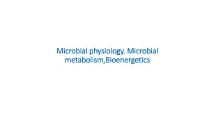 Microbial Physiology and Metabolism