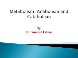 Metabolic Pathways: An Overview