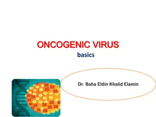 Oncogenic Viruses and Their Role in Cancer Development