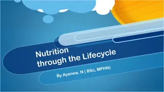 Growth and Development During Pregnancy: Understanding the Impact of Nutrition