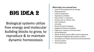 Biological Systems and Energy Utilization