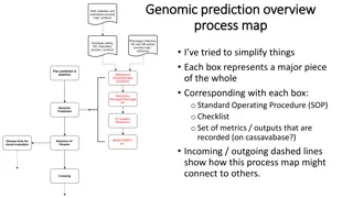 Genomic Prediction Overview: Simplified Process Map for Breeding