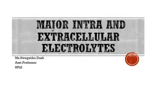 Electrolyte Balance in the Human Body