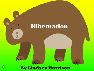 Hibernation and Winter Sleep Patterns in Animals