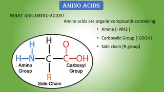 Amino Acids: Structure, Nomenclature, and Classification