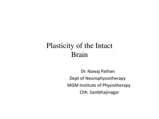 Neural Plasticity in the Intact Brain