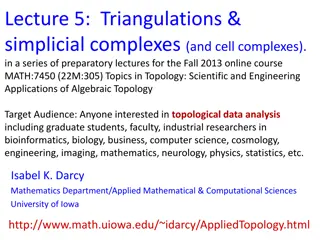 Exploring Oriented Simplicial Complexes for Topological Data Analysis