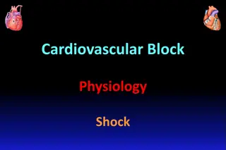 Pathophysiology of Shock in Cardiovascular Block
