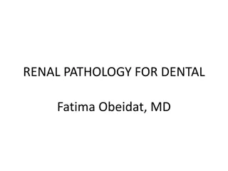 Clinical Manifestations and Renal Syndromes Overview