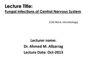 Fungal Infections of Central Nervous System - Diagnostic Challenges and Clinical Syndromes