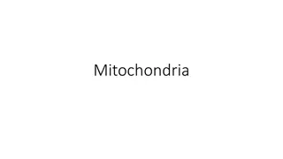 The Intriguing World of Mitochondria