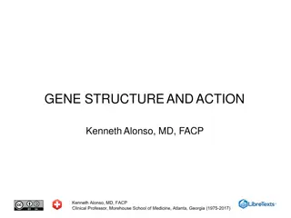 Gene Structure, Fertilization, and Chromosome Morphology in Genetics