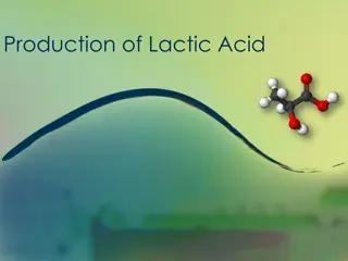 Lactic Acid Production: Pathway, Applications, and Microorganisms