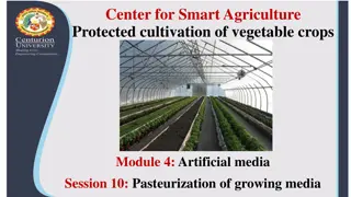 Cultivation Techniques for Greenhouse Crops: Soil Disinfestation Methods