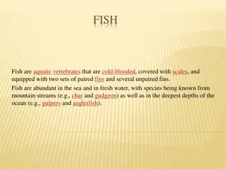 The World of Fish: Aquatic Vertebrates and Their Diverse Characteristics