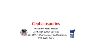 Cephalosporins