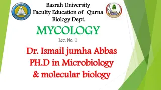 Exploring the Fascinating World of Mycology at Basrah University