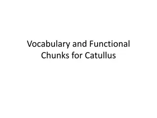 Catullus Vocabulary and Functional Chunks for Language Learners