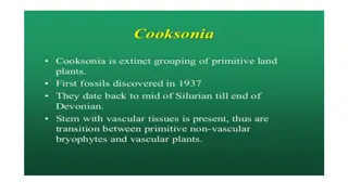 Evolution of Independent Plants: From Cooksonia to C. barrandae