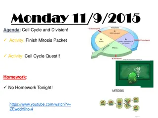 Cell Cycle: Mitosis, Meiosis, and Genetic Variation